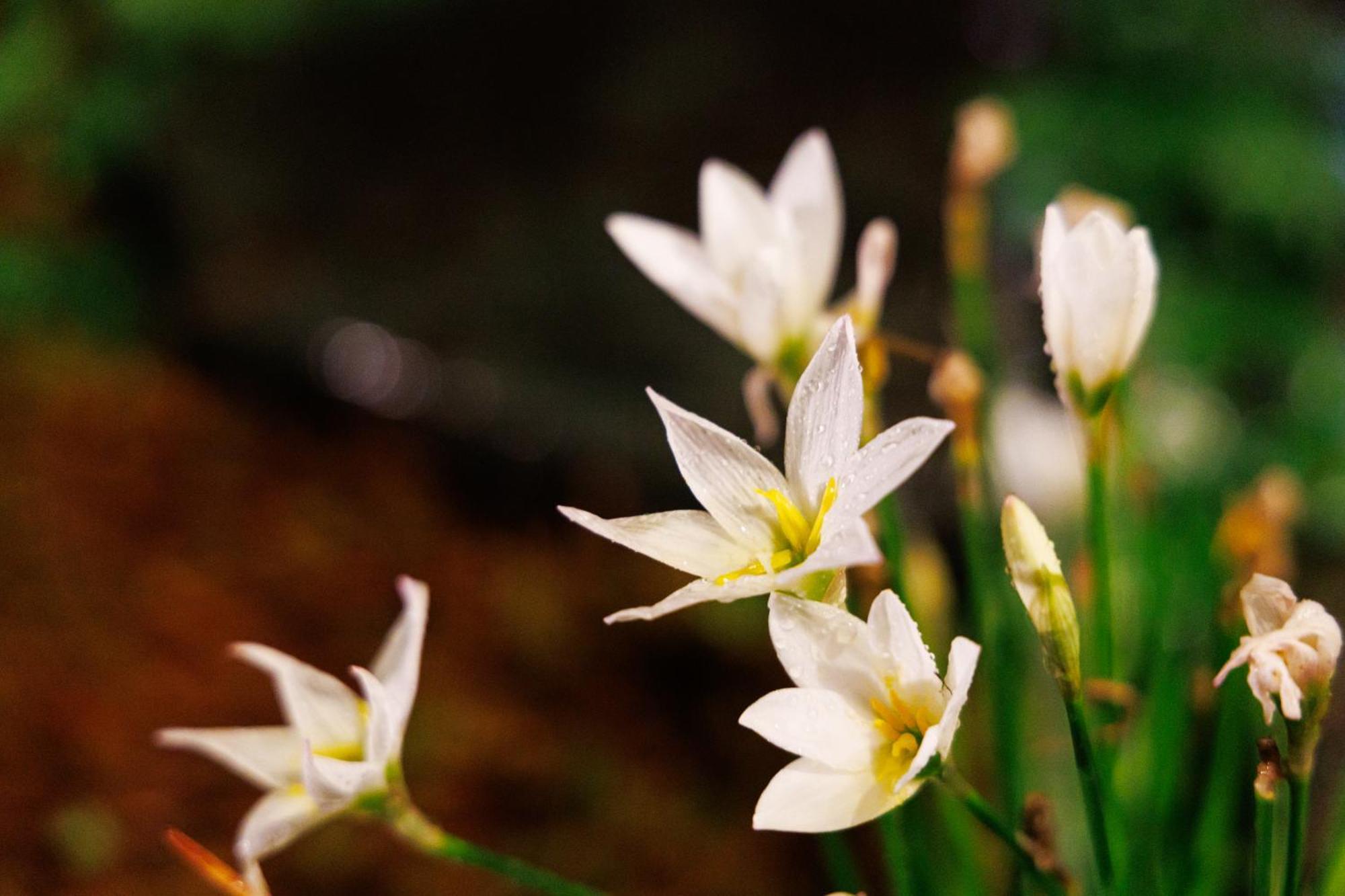 Kanazawa Seiren Le Lotus Bleu Εξωτερικό φωτογραφία